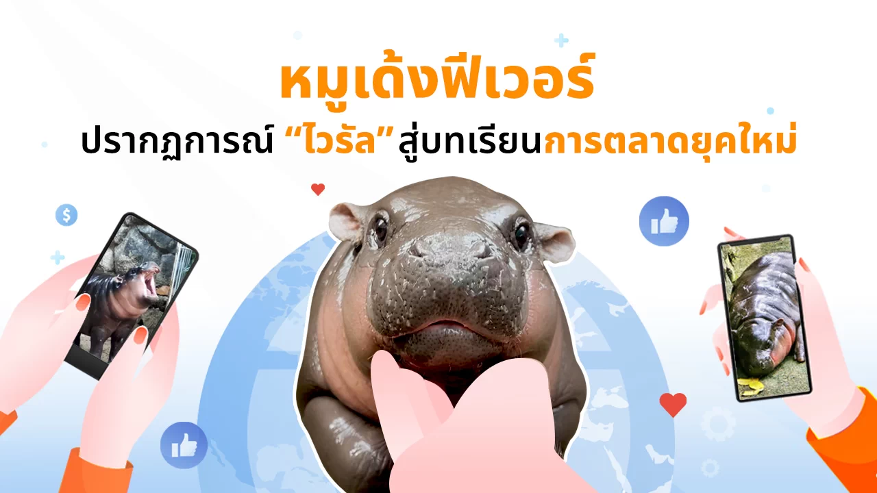 หมูเด้ง, การตลาด, ไวรัล, ฮิปโปโปเตมัสแคระ, Cute Aggression, Influencer Marketing, หมูเด้งฟีเวอร์